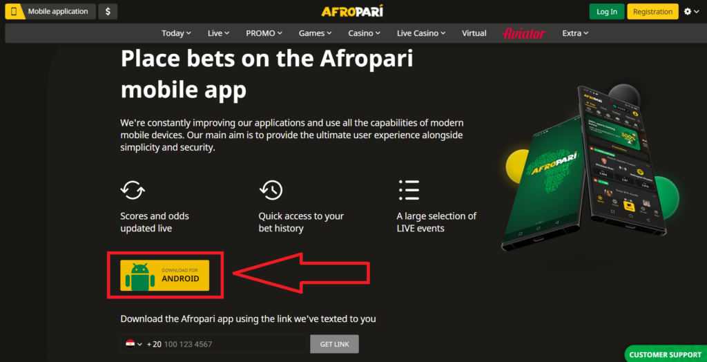 AfroPari App and Mobile Version of the Website