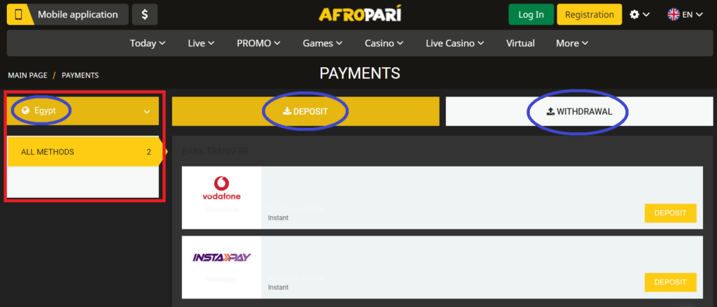 AfroPari Payment Methods